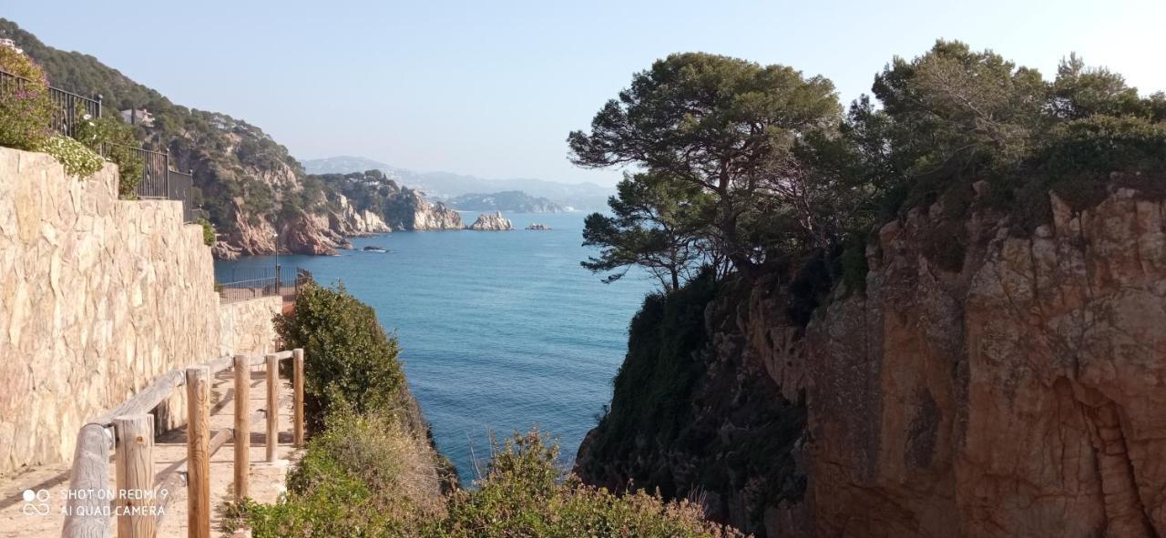 Massanet De La Selva Villa Blanca 10 Minutos De La Playa Costa Brava מראה חיצוני תמונה
